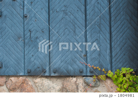 木目と意思と蔦と 1804981