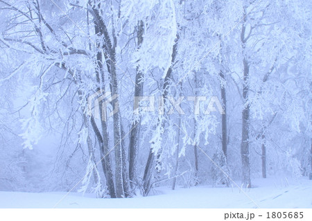 樹氷 1805685