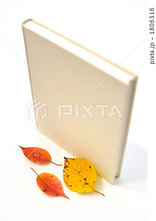 秋の落ち葉のイメージに。 1806316