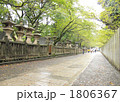 参道 1806367