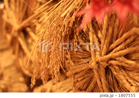 米俵と稲穂 米俵と稲穂 1807555