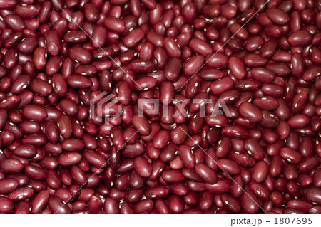 金時豆 金時豆 1807695