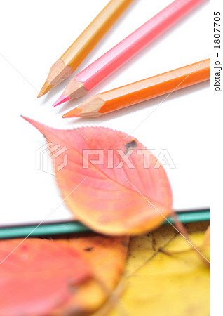 秋の落葉のフレーム。 1807705