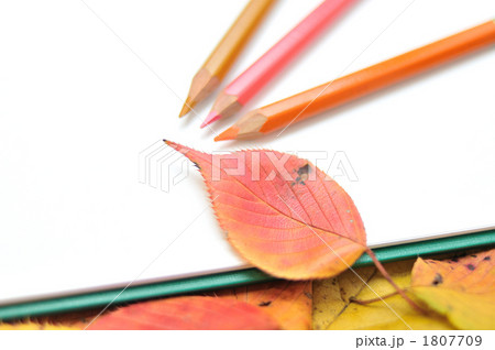 秋の落葉のフレーム。 1807709