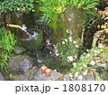 水基巡り 1808170