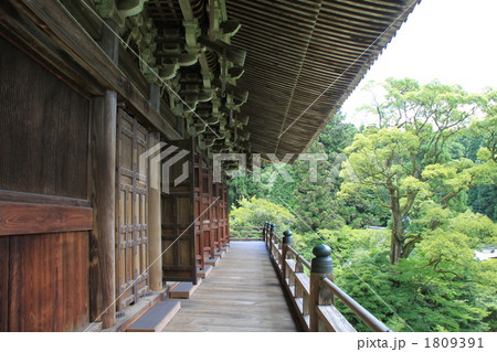 静かなる円教寺 静かなる円教寺 1809391
