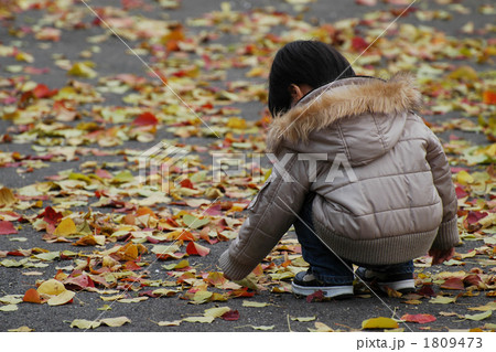 どれにしようかな。 1809473