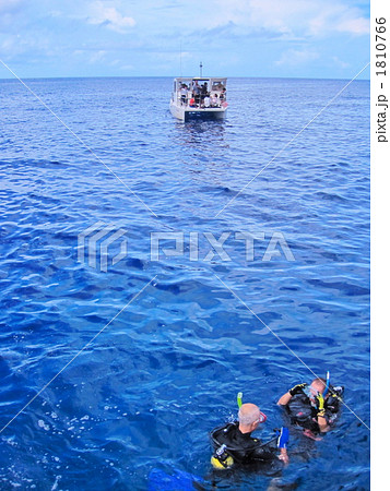 順位完了! 順位完了! 1810766