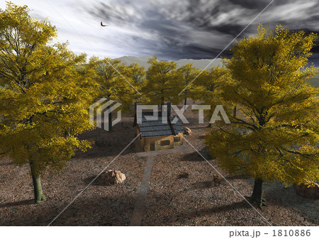 幻想世界(銀杏の森) 幻想世界(銀杏の森) 1810886