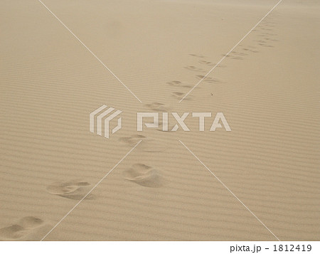 鳥取砂丘　足跡 1812419