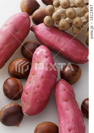 栗とイモ 1812897