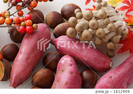 栗とイモ 1812909