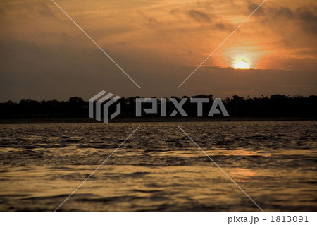 ガンジス河の朝 1813091