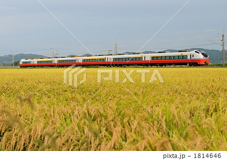 初秋を走る特急つがる 1814646