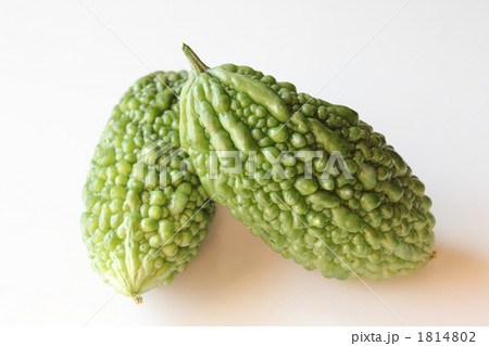 アバシゴーヤー 1814802