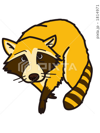 動物＿アライグマ02_100929 1814971