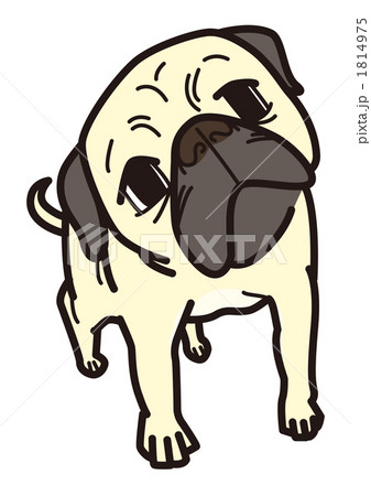 パグ02_100929 1814975