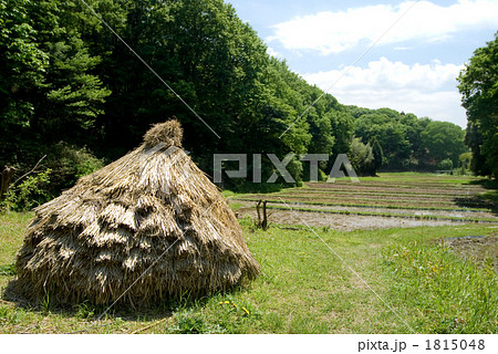 里山のわらこづみと田 里山のわらこづみと田 1815048