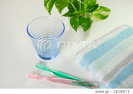 歯ブラシと観葉植物 1816673