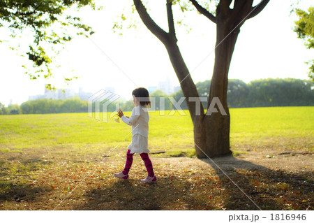 公園を歩く少女 公園を歩く少女 1816946