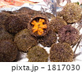 1817030