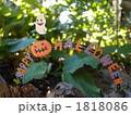 ハロウィン 1818086