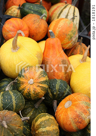 いろいろな飾りかぼちゃの写真素材