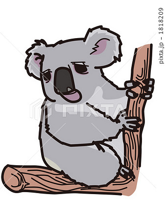 コアラ02＿100929 1818209