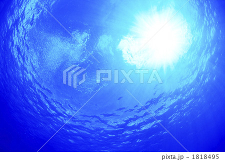 サイパンの海中 1818495