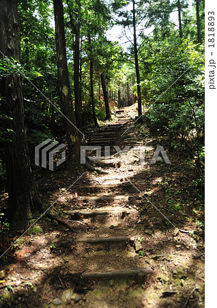 熊野古道　赤木越　船玉神社付近 1818893