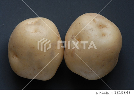男爵薯ジャガイモ塊茎 男爵薯ジャガイモ塊茎 1819343