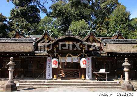 平野神社・本殿 1822300