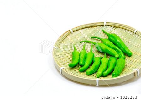 ししとう 1823233