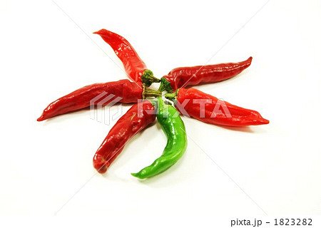 万願寺唐辛子 万願寺唐辛子 1823282