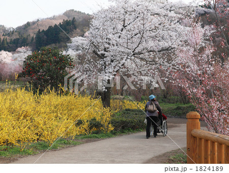 桃源郷へ 1824189