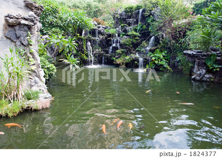 清暉園 清暉園 1824377