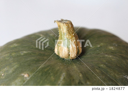 南瓜 南瓜 1824877