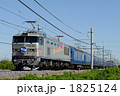 上野に向かうEF510牽引の寝台特急北斗星 1825124
