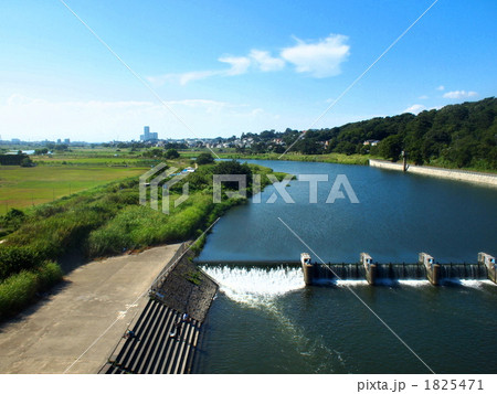 多摩川。 1825471