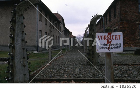 アウシュビッツ アウシュビッツ 1826520