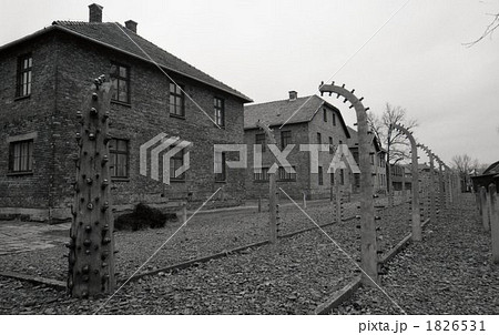 アウシュビッツ アウシュビッツ 1826531