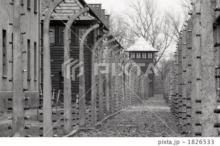 アウシュビッツ アウシュビッツ 1826533