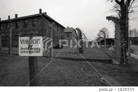 アウシュビッツ 1826555