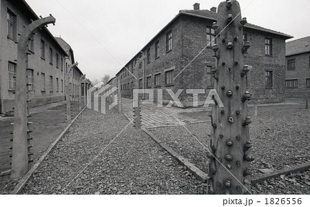 アウシュビッツ 1826556