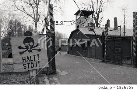 アウシュビッツ アウシュビッツ 1826558