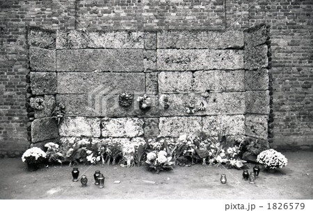 アウシュビッツ アウシュビッツ 1826579