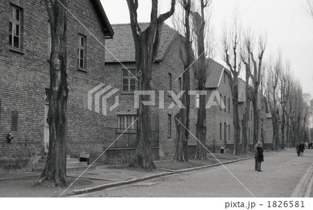 アウシュビッツ 1826581