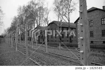 アウシュビッツ アウシュビッツ 1826585