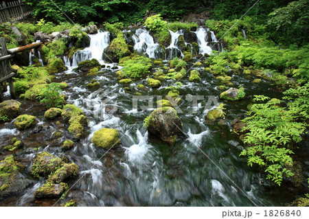 京極ふきだし湧水 1826840