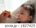 離乳食 1827425
